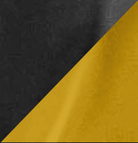 Black/Gold