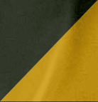 Kombu Green/Gold